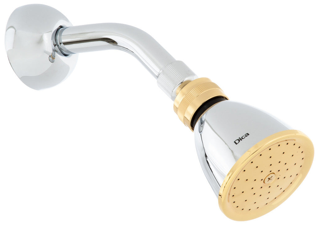DICA 4510B REGADERA CON BRAZO Y CHAPETON CR