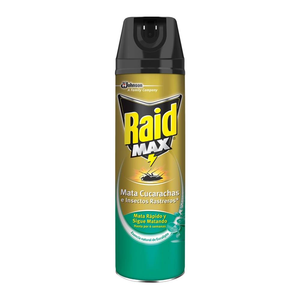 RAID MAX AEREOSOL GRANDE
